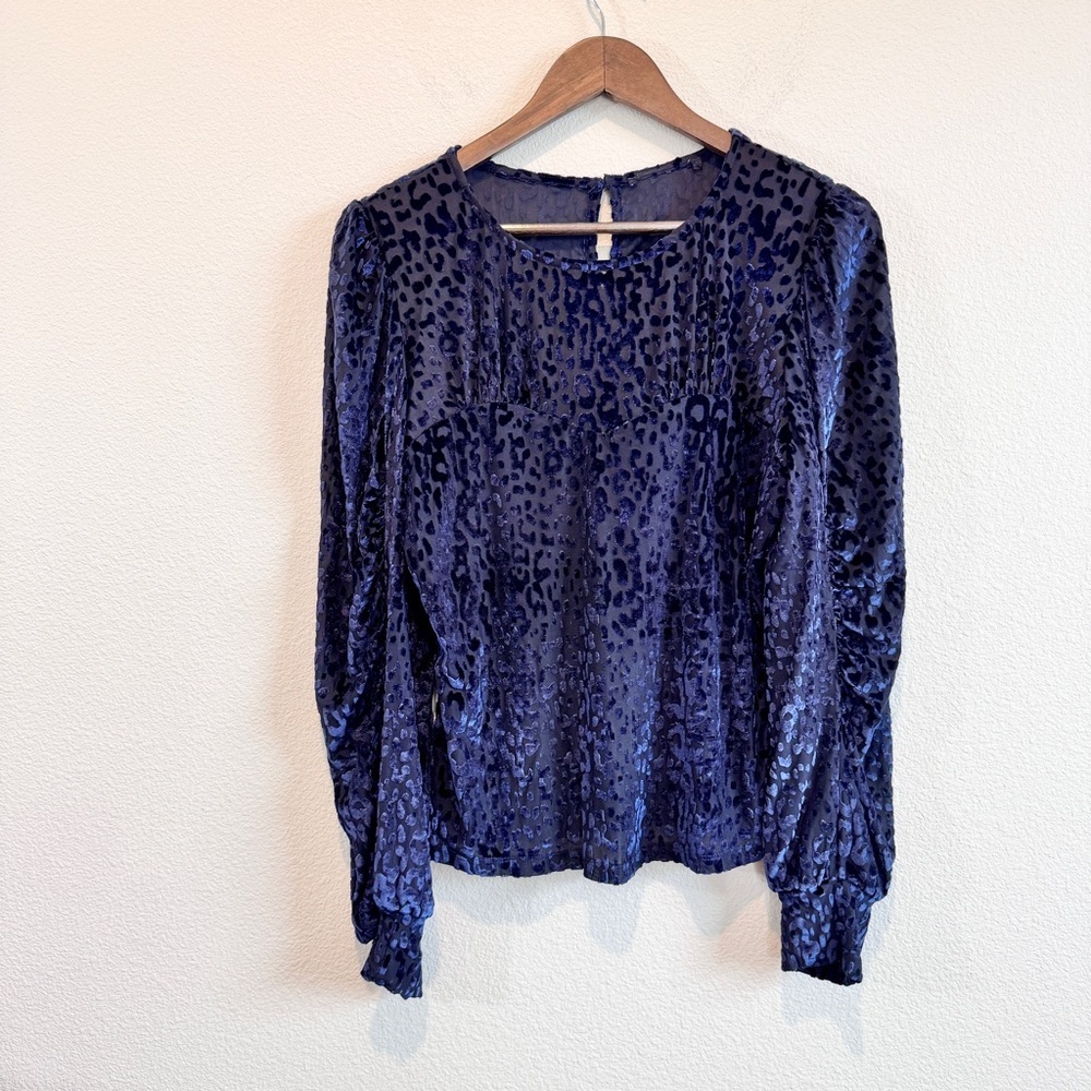 Eclair Velvet Burnout Leopard Sheer Blouse Boho Goth Romantic Medium Top EUC